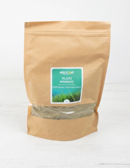 El Secreto de la Vitalidad: Fertilizante Natural con Algas Marina