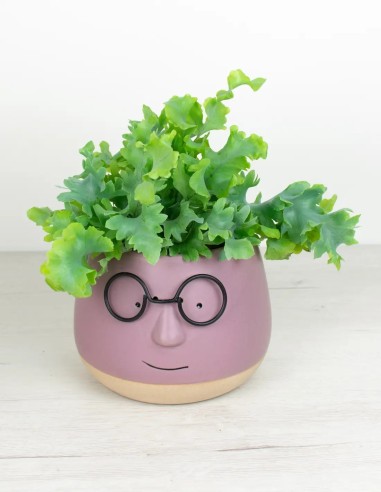 Estilo Botánico: Cubremacetas Divertido para Tu Espacio Verde