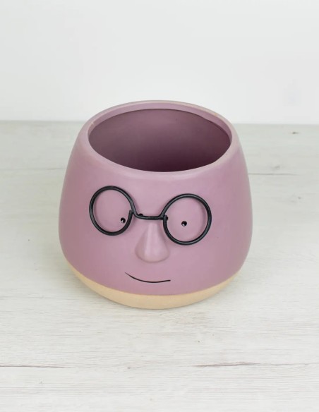 Cubremacetas Morado: Dale una Sonrisa a tus Planta