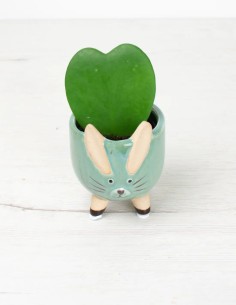 Conejito Botánico: Mint Bunny y su Encanto Juguetón 2