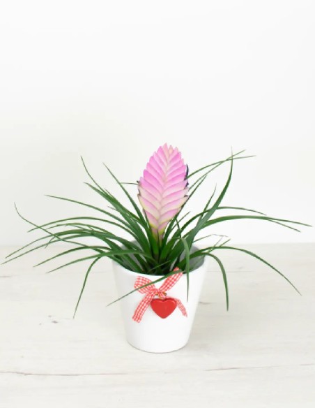 Regalo de Amor: Cubremacetas de Cerámica con Corazón Colgante