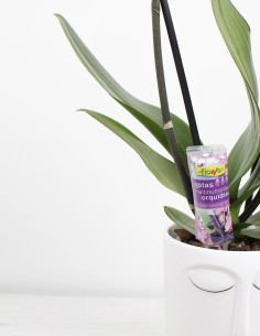 Fertilizante-para-orquideas-monodosis-compra-online