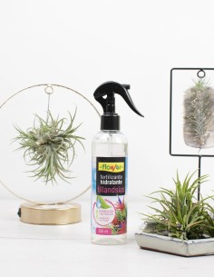 fertilizante-hidratante-tillandsias-flower-planta-aérea