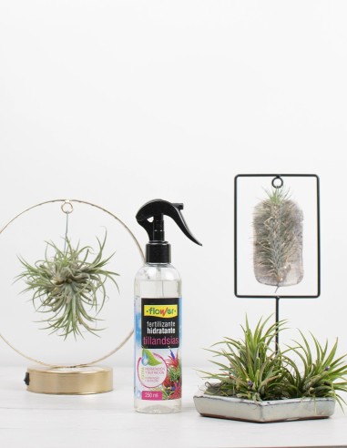 fertilizante-y-hidratante-tillandsias-flower-compra