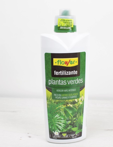 cuidado-plantas-verdes-fertilizante-hierro-quelatado
