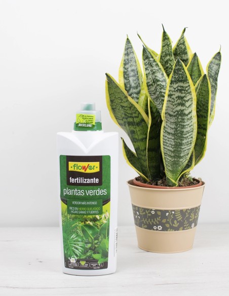 fertilizante-plantas-verdes-flower-compra-hierro-quelatado