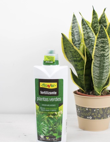 fertilizante-verde-intenso-plantas-flower-compra-online