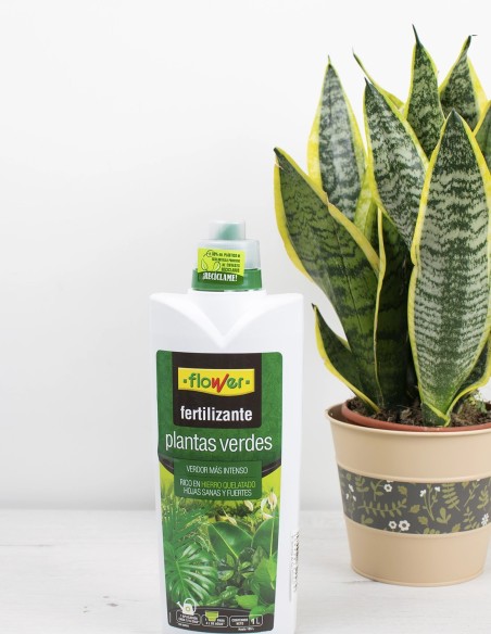 fertilizante-verde-intenso-plantas-flower-compra-online