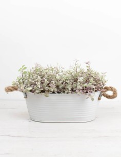 barreño-zinc-ovalado-decoración-jardín