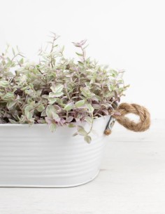 barreño-zinc-ovalado-decoración-jardín 2