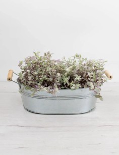 BARREÑO ZINC PLATA OVALADO