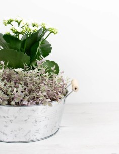 barreño-de-zinc-ovalado-duradero-y-estiloso 2