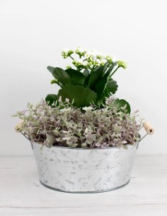 barreño-de-zinc-ovalado-duradero-y-estiloso