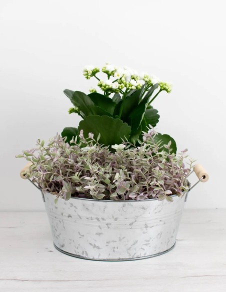 barreño-de-zinc-ovalado-duradero-y-estiloso