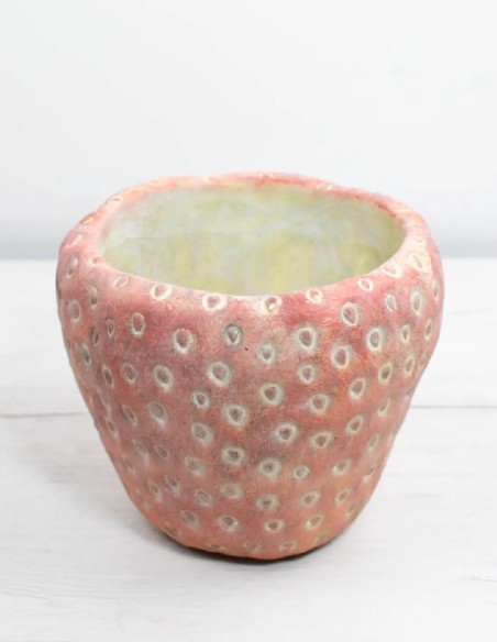 accesorio-para-plantas-cubremacetas-con-forma-de-fresa