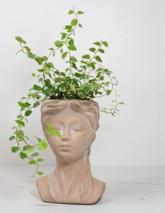 CUBREMACETAS DIOSA HELEN 2