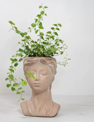 accesorio-decoracion-interior-cubremacetas-diosa