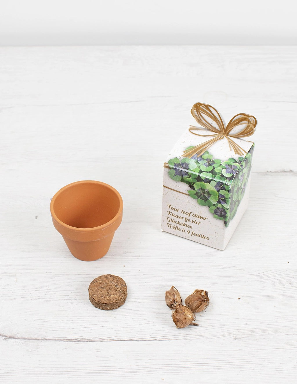 Kit de cultivo Trebol de 4 hojas - Oxalis deppei