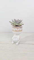 Cubremacetas Inca decorativo de estilo étnico para plantas de interior