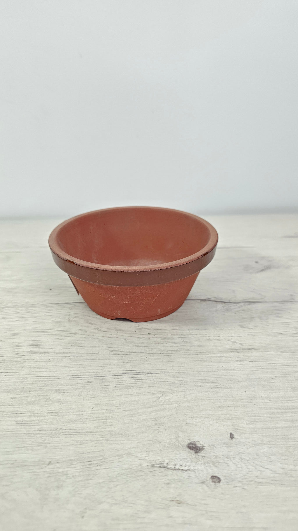 Maceta japonesa de terracota con bonsái, composición elegante y minimalista.