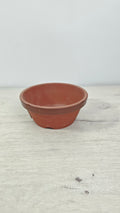 Maceta japonesa de terracota con bonsái, composición elegante y minimalista.