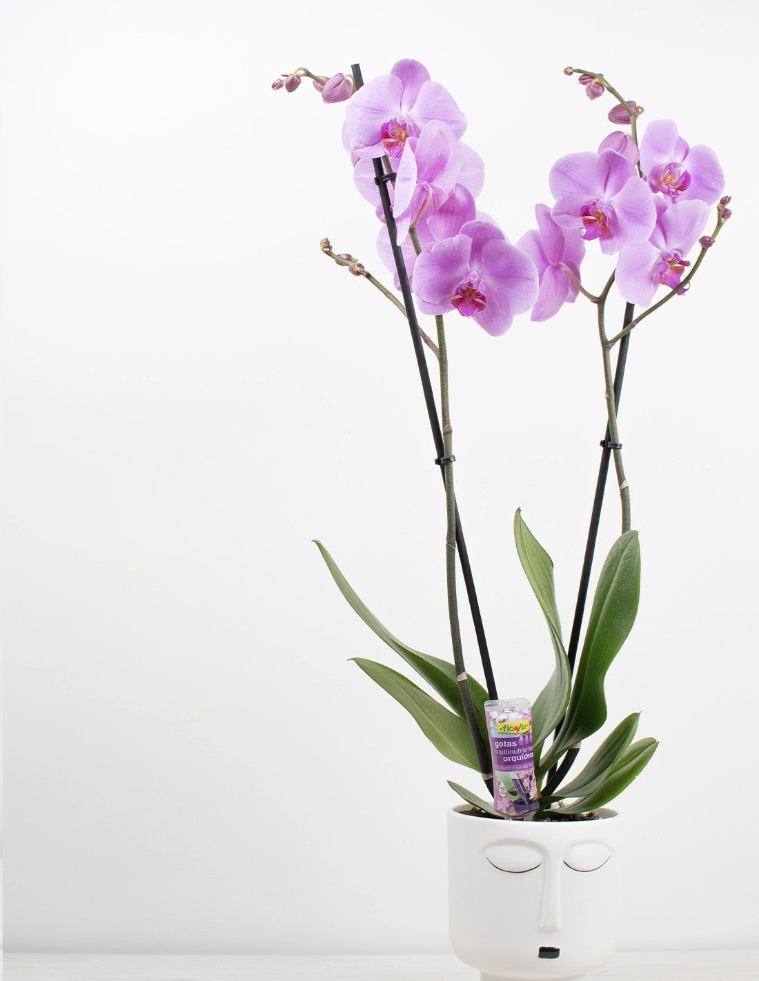 GOTAS MULTINUTRIENTES FLOWER - CUIDADO DE ORQUÍDEAS