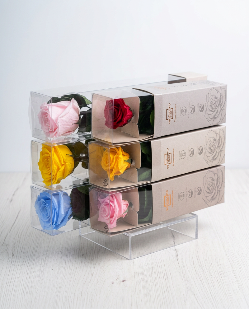 Rosa preservada presentada como regalo elegante y duradero.  
