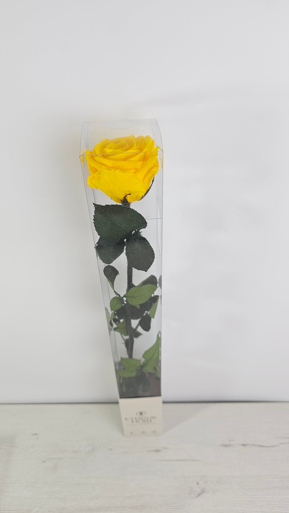 ROSA PRESERVADA