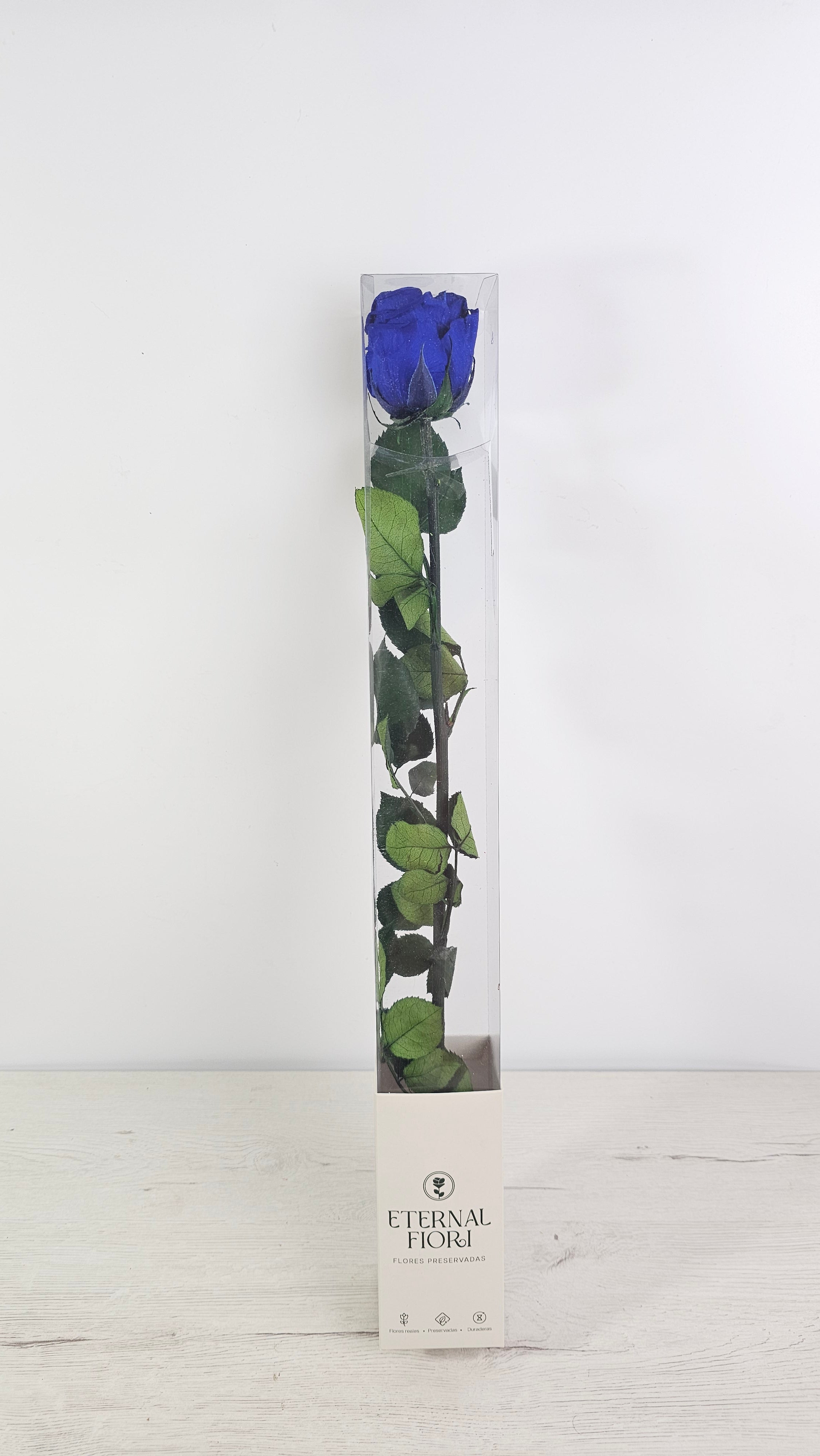 ROSA PRESERVADA