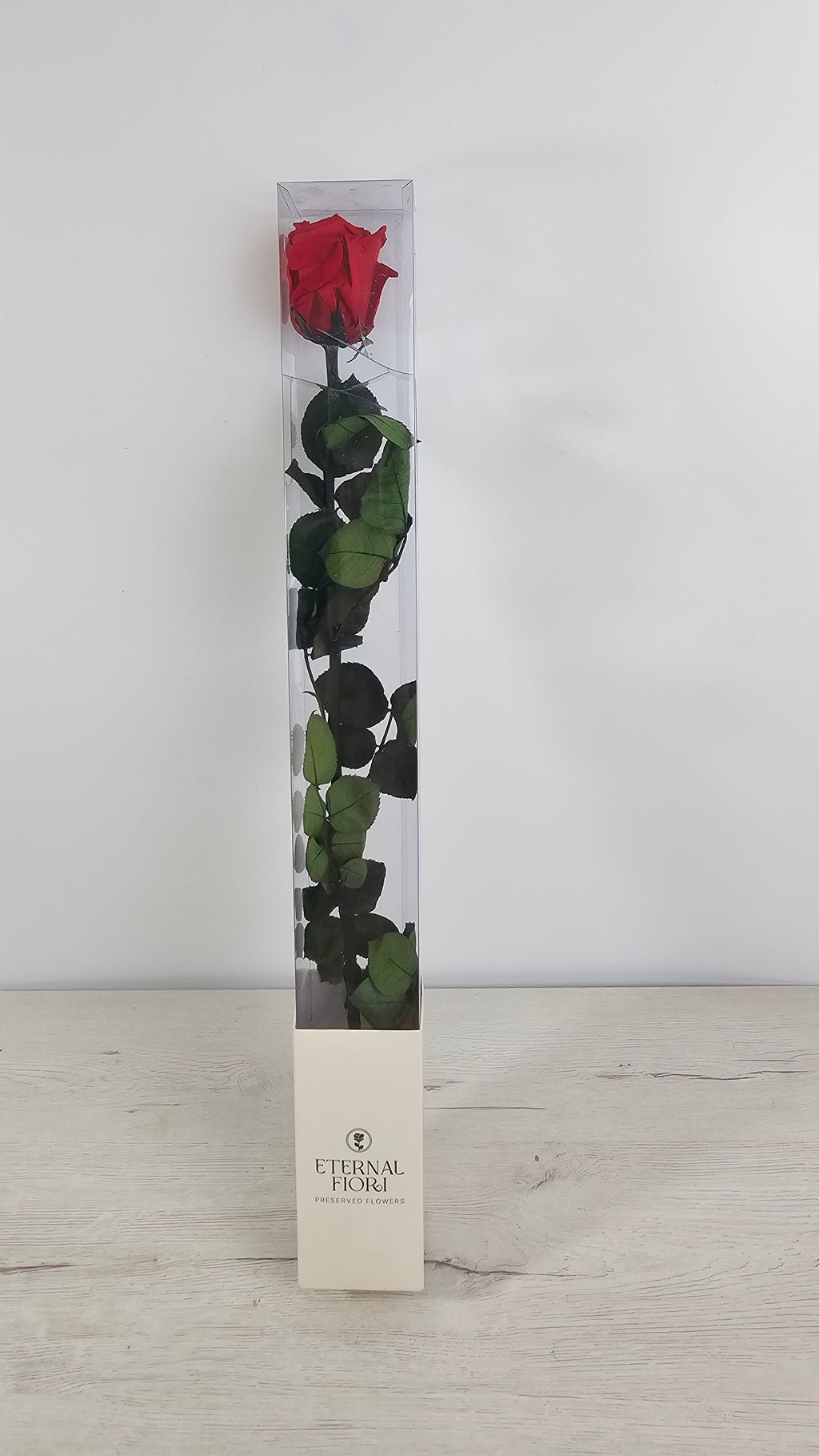 ROSA PRESERVADA