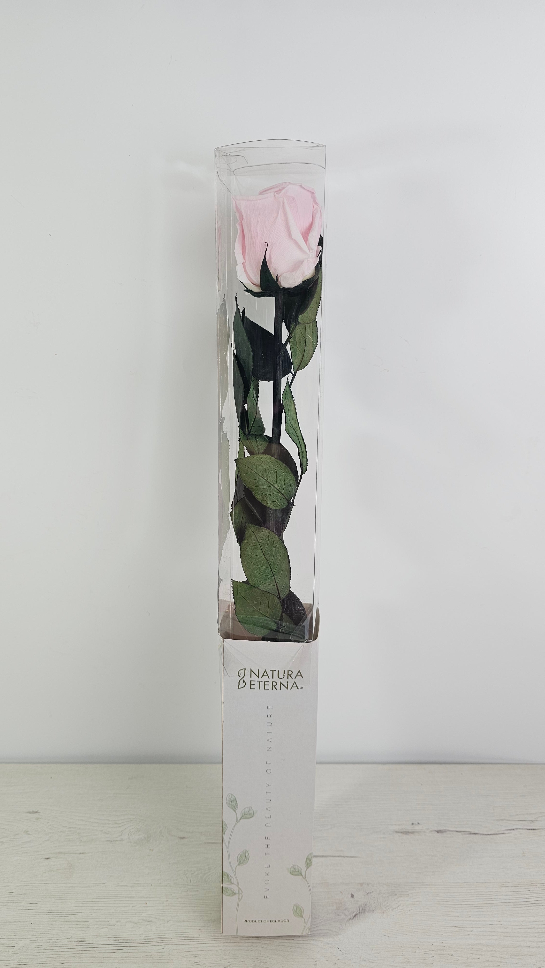 ROSA PRESERVADA