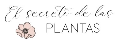 El Secreto de las Plantas